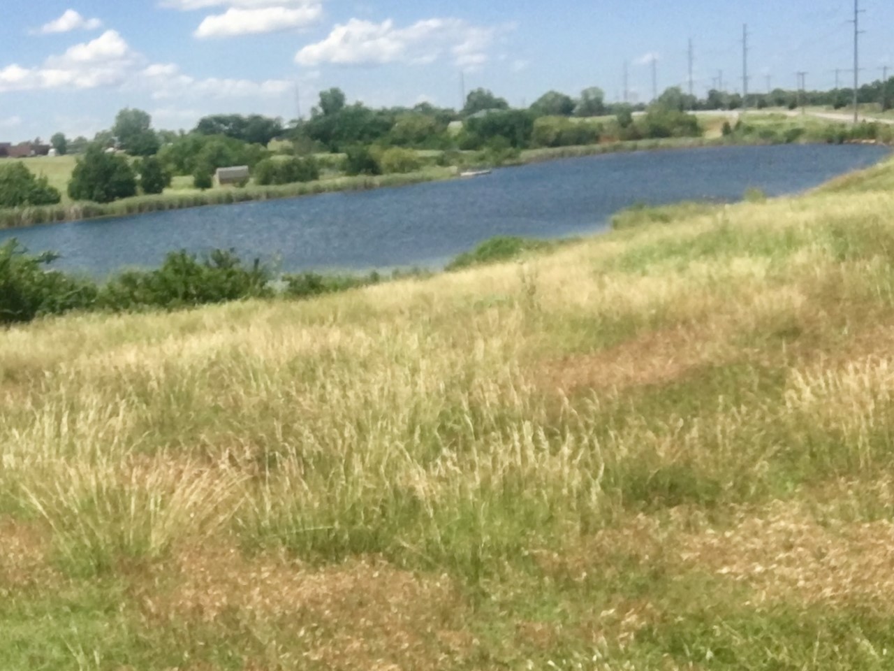 After pond